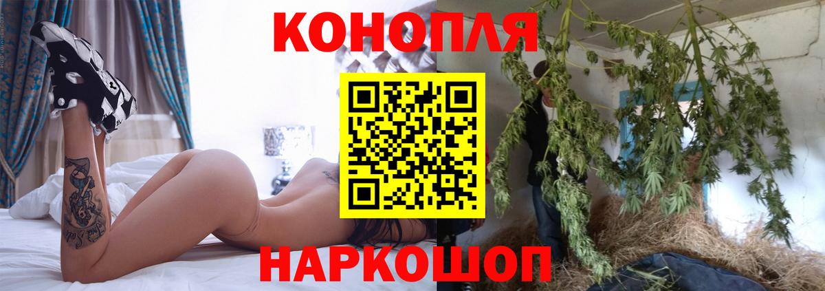 Бошки Шишки сатива Черняховск