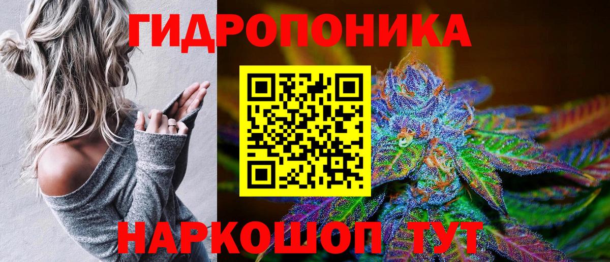 Шишки марихуана семена  Вход с VPN  Черняховск  Канабис LSD WEED  Марихуана Amnesia  Марихуана индика 